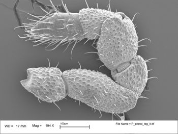Media type: image;   Invertebrate Zoology 147385   shows cataloged_item 147385